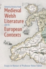 Image for Medieval Welsh Literature and its European Contexts