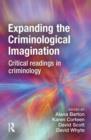 Image for Expanding the Criminological Imagination