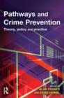 Image for Pathways and crime prevention  : theory, policy and practice