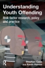 Image for Understanding youth offending  : risk factor research, policy and practice