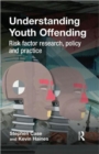 Image for Understanding youth offending  : policy, practice and research