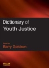 Image for Dictionary of youth justice