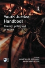Image for Youth justice handbook  : theory, policy and practice