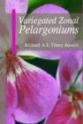Image for Variegated Zonal Pelargoniums