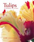 Image for Tulips  : an abundance of colour