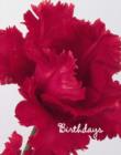 Image for Red Birthday Book