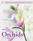 Image for The amazing world of orchids  : a practical guide to selection and cultivation