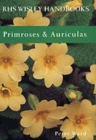 Image for Primroses and auriculas