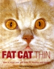 Image for Fat Cat Thin