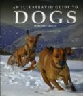 Image for ILLUSTRATED GUIDE TO DOGS