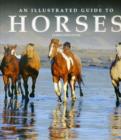 Image for ILLUSTRATED GUIDE TO HORSES