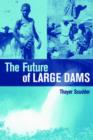 Image for The future of large dams  : dealing with the social, environmental and political costs