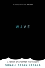Image for Wave  : life and memories after the tsunami