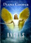 Image for Angels of Light Cards Pocket Edition