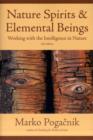 Image for Nature spirits &amp; elemental beings  : working with the intelligence in nature