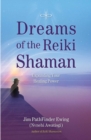 Image for Dreams of the reiki shaman: expanding your healing power