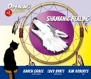 Image for Shamanic Healing CD