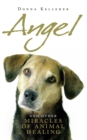 Image for Angel and other miracles of animal healing