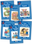 Image for Jolly Phonics Readers, General Fiction, Level 4 : In Precursive Letters (British English edition)