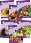 Image for Jolly Phonics Readers Level 5, Our World : In Precursive Letters (British English edition)
