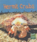 Image for Read and Learn: Sea Life - Hermit Crabs