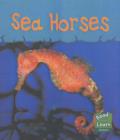 Image for Read and Learn: Sea Life - Sea Horses
