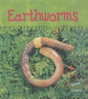 Image for Ooey-Gooey Animals: Earthworms Hardback