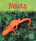 Image for Read and Learn: Ooey-Gooey Animals - Newts
