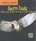 Image for Barn Owls