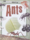 Image for The secret world of ants