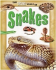 Image for The secret world of snakes
