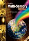 Image for Multi-sensory World : Global Issues Explored - For Creative Churches, Youth Groups and Small Groups