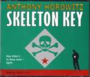 Image for Alex Rider Bk 3: Skeleton Key (Old Editi