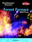 Image for Forest furnace  : wildfires