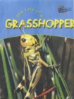 Image for The life of a grasshopper