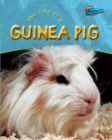 Image for Raintree Perspectives: Life Cycles - the Life of a Guinea Pig