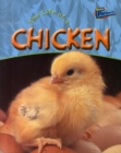Image for The Life of a Chicken