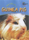 Image for The Life of a Guinea Pig