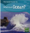 Image for What is an Ocean?