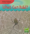 Image for What Can Build?