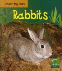 Image for Rabbits