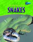 Image for The wild side of pet snakes