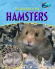 Image for The wild side of pet hamsters