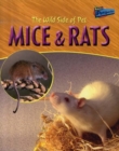 Image for Mice and Rats