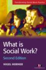 Image for What is social work?  : context and perspectives