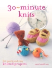 Image for 30-Minute Knits