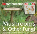 Image for Mushrooms &amp; Other Fungi