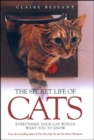Image for The secret life of cats  : everything your cat would want you to know