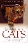 Image for The secret life of cats  : everything your cat would want you to know