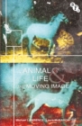 Image for Animal Life and the Moving Image